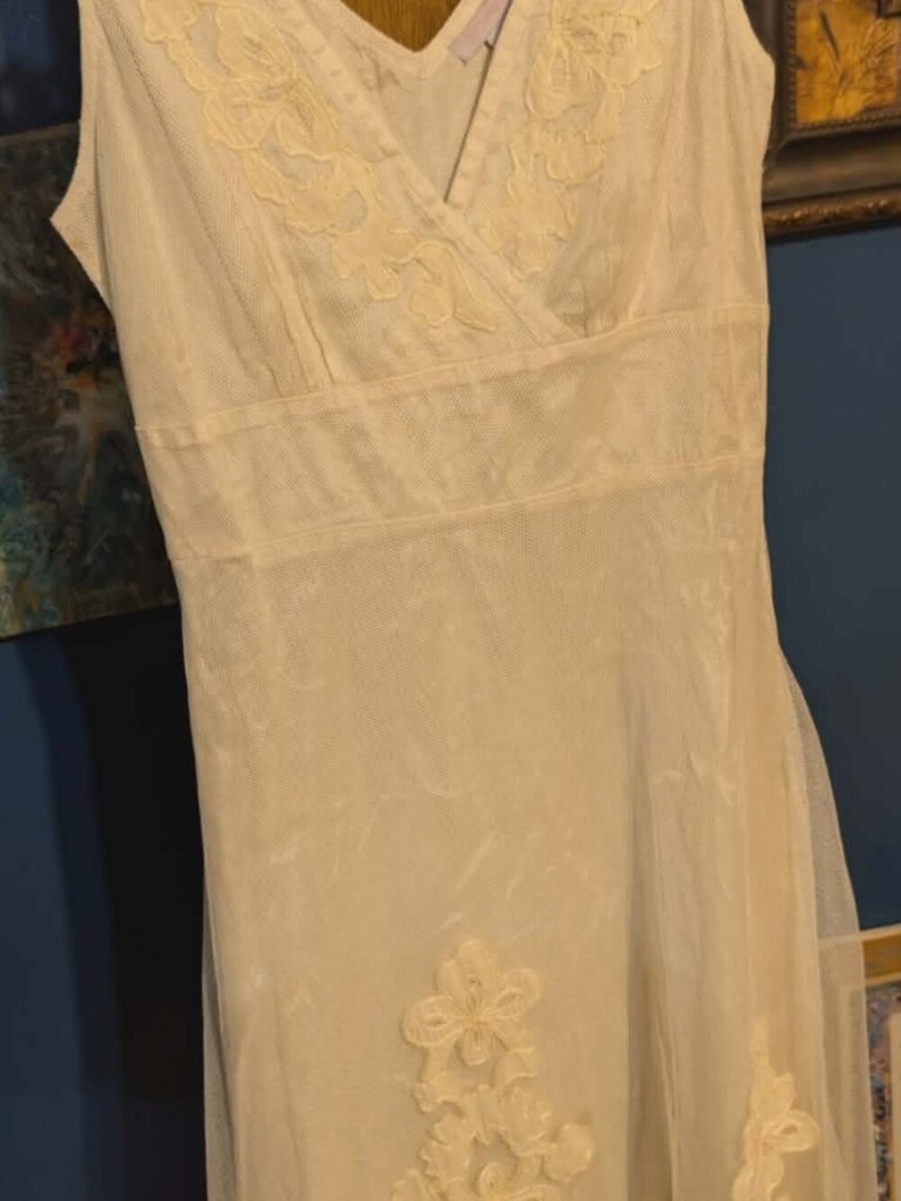 Pura Vida Cream Lace/Netting Dress Size 8